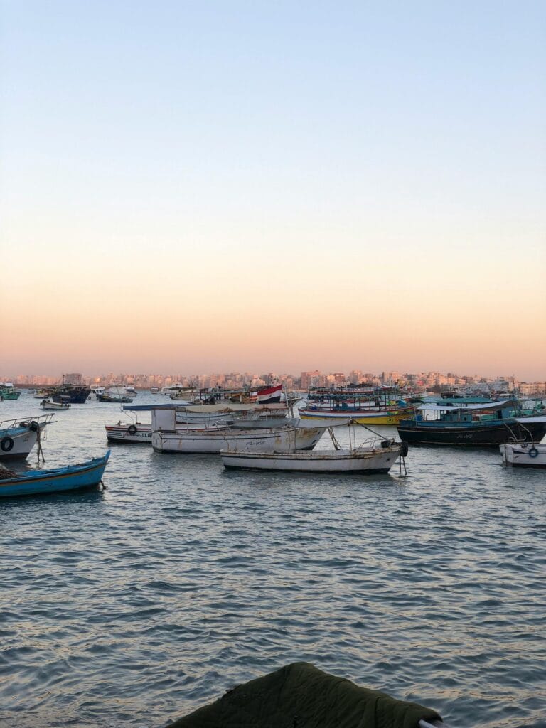 Traditional fishing boats floating in Alexandria harbor at sunset with the city skyline along Egypt’s Mediterranean coast.