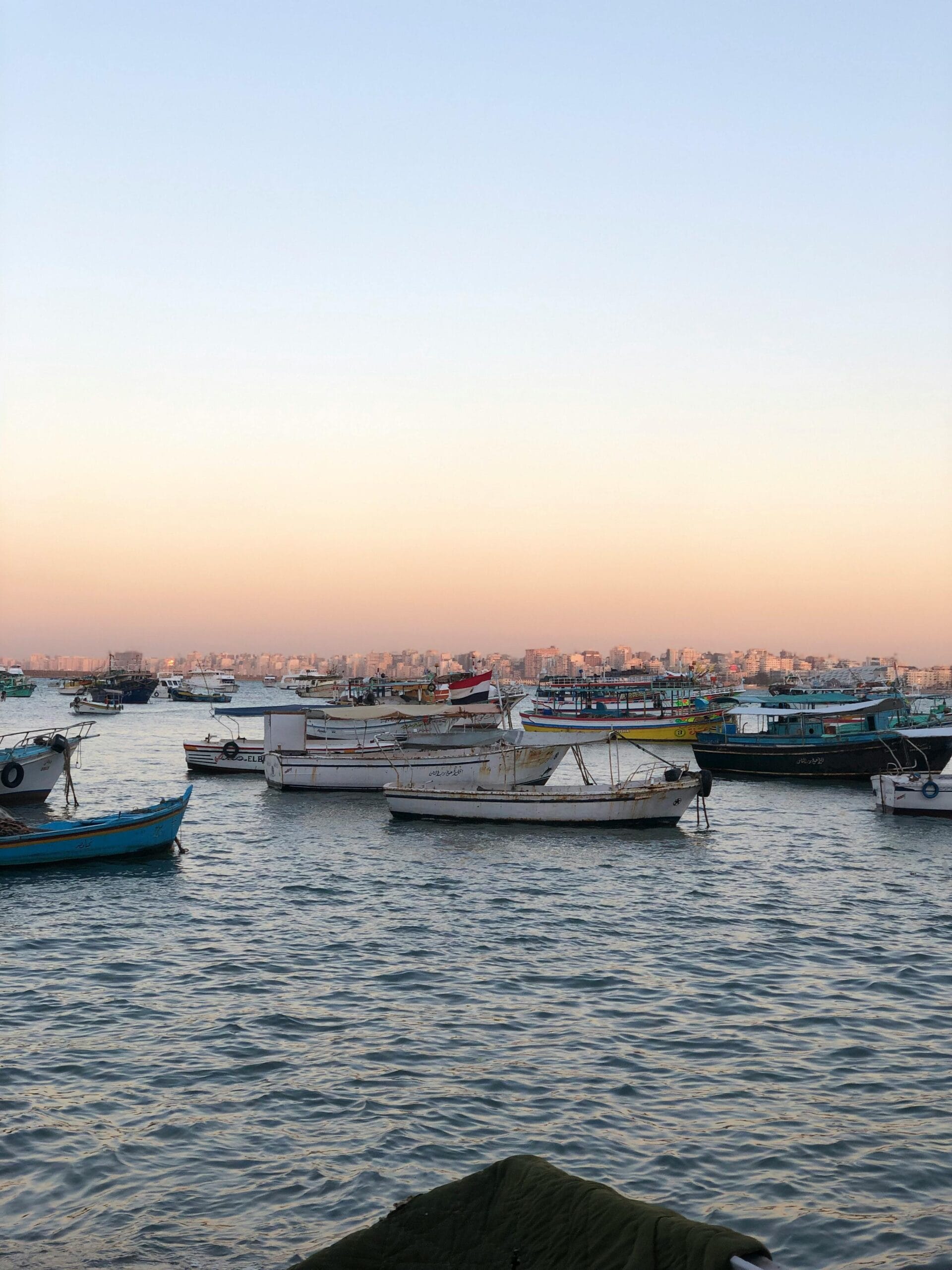 Traditional fishing boats floating in Alexandria harbor at sunset with the city skyline along Egypt’s Mediterranean coast.